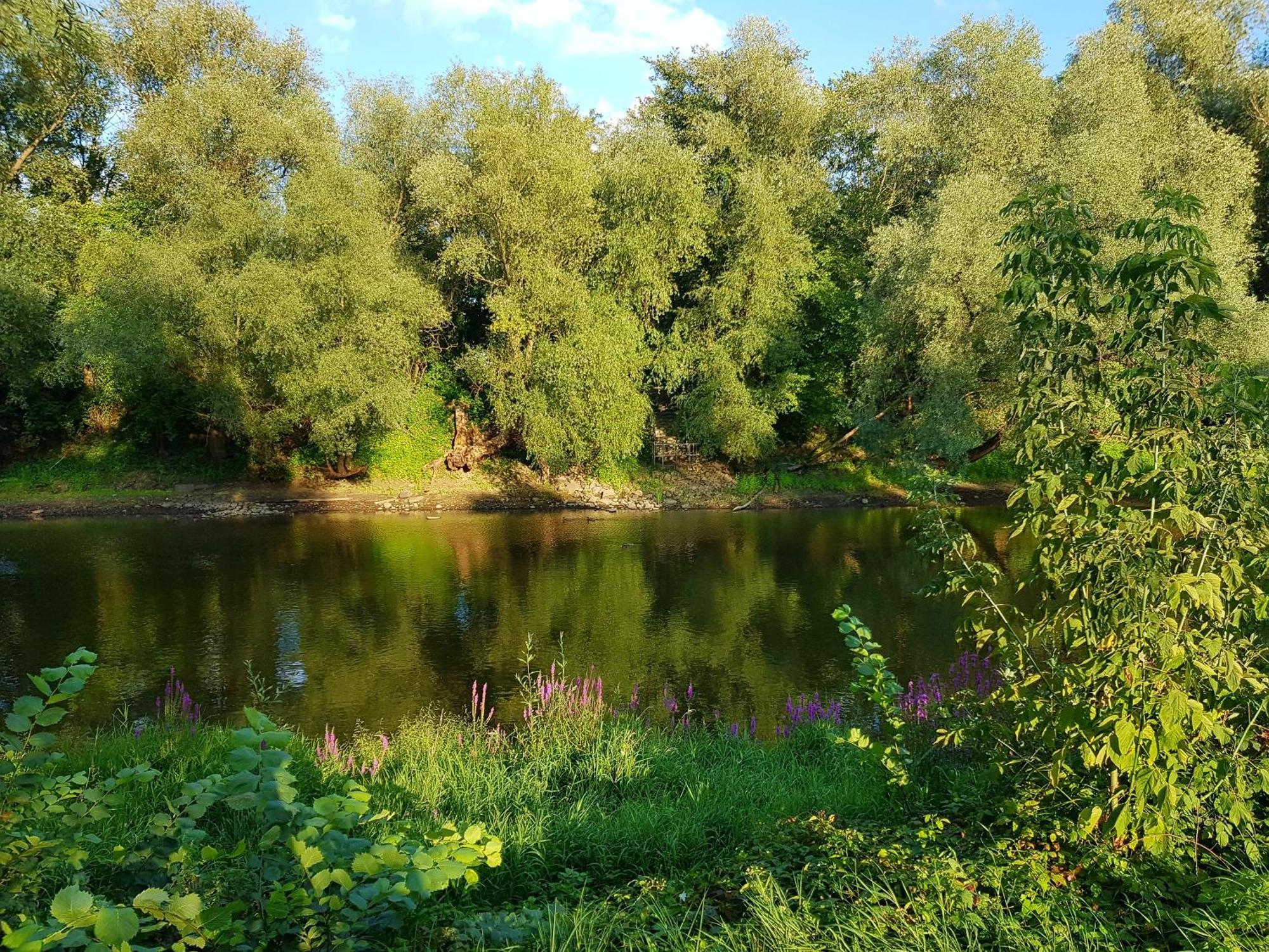 Viadrina Rooms & Apartments Frankfurt-Oder Am Park Im Zentrum Франкфурт/Одер Экстерьер фото