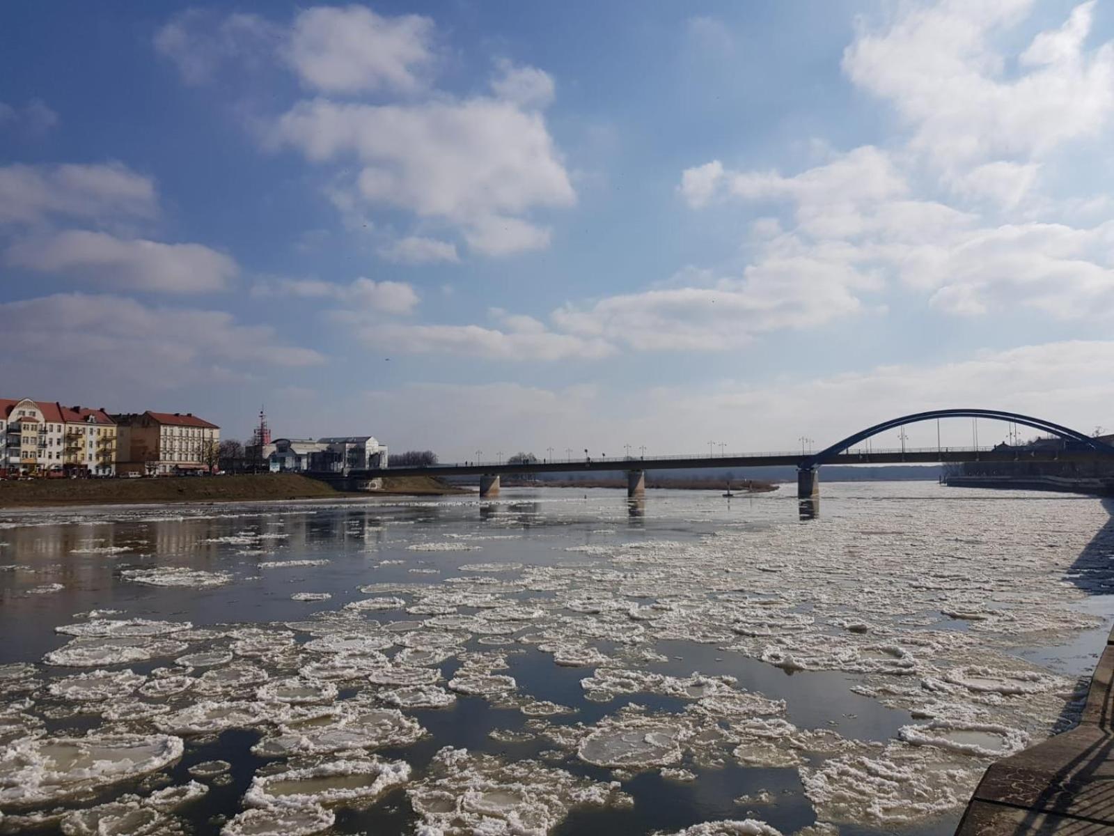Viadrina Rooms & Apartments Frankfurt-Oder Am Park Im Zentrum Франкфурт/Одер Экстерьер фото