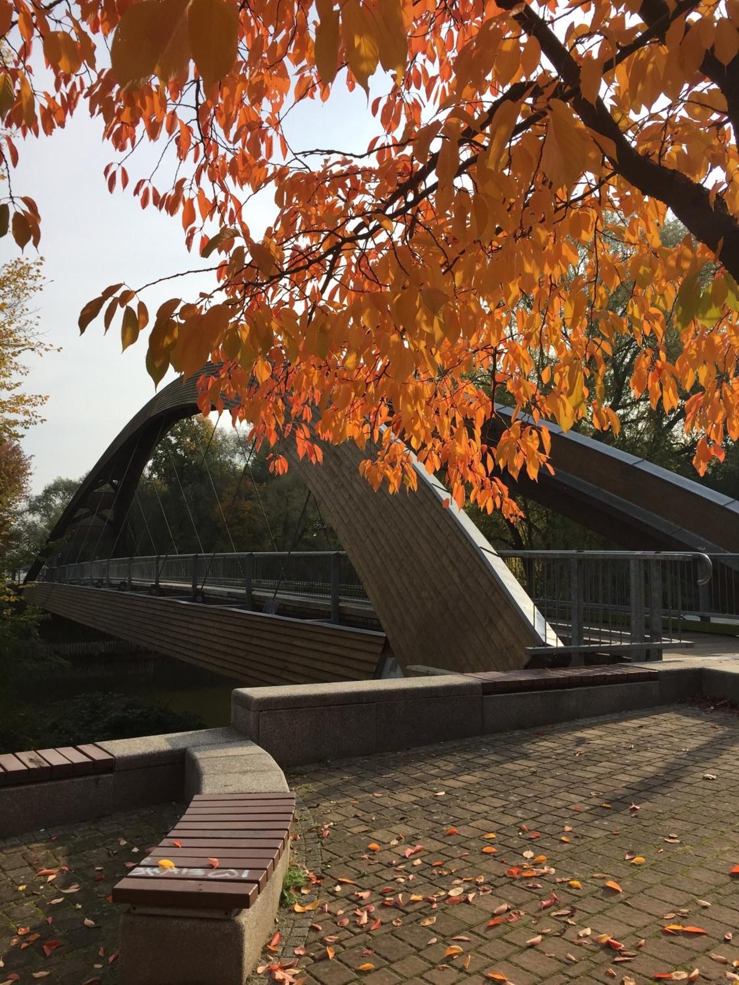Viadrina Rooms & Apartments Frankfurt-Oder Am Park Im Zentrum Франкфурт/Одер Экстерьер фото