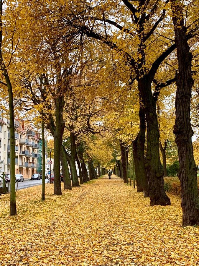 Viadrina Rooms & Apartments Frankfurt-Oder Am Park Im Zentrum Франкфурт/Одер Экстерьер фото